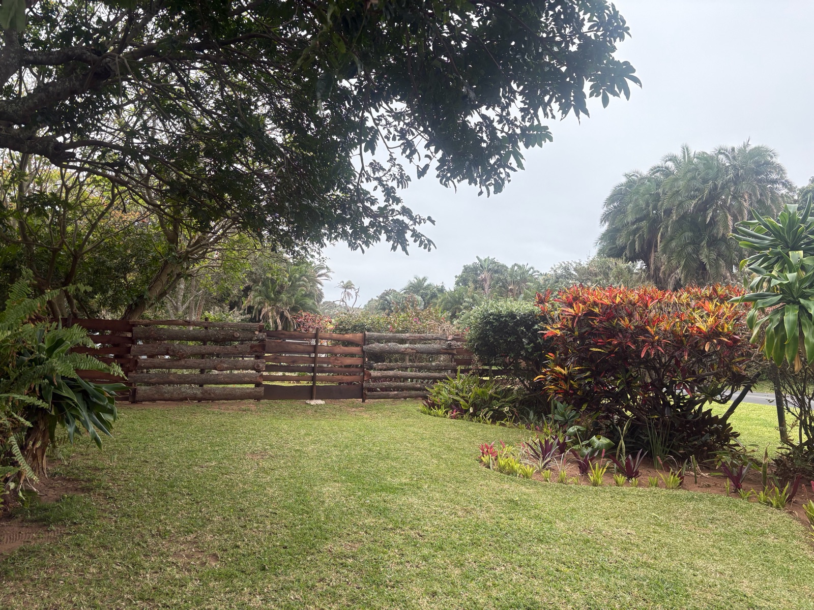 The big lawn behind Kothuis
